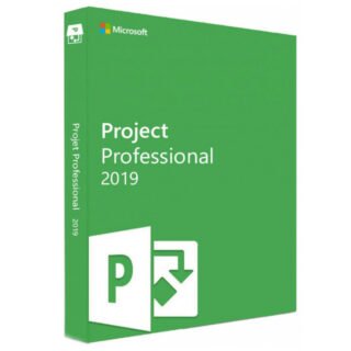 Microsoft Projet Professionnel 2019