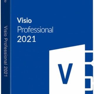 Microsoft Visio Professionnel 2021